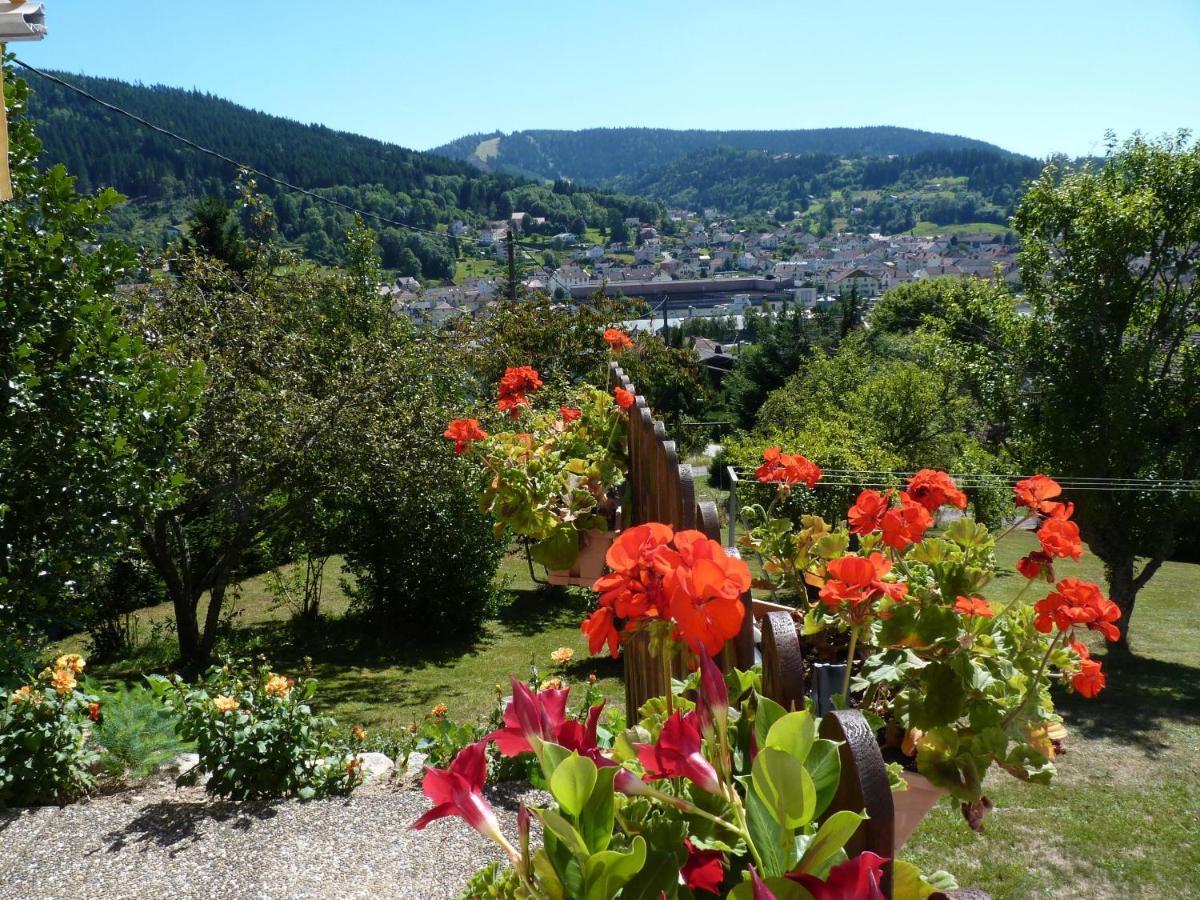 La Maison Bel'Air Gérardmer Esterno foto